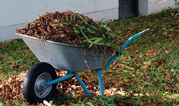 Garden Waste Clearance